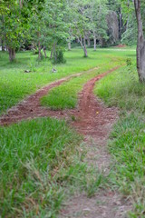 path in the park