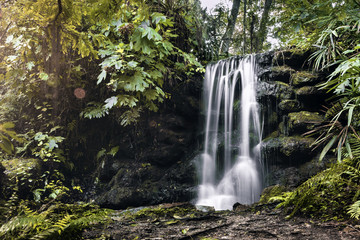Waterfall Rainbow Springs State Park Florida © Chris