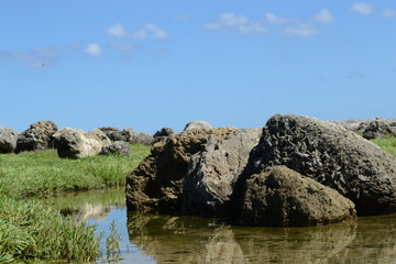 rocks on a pond