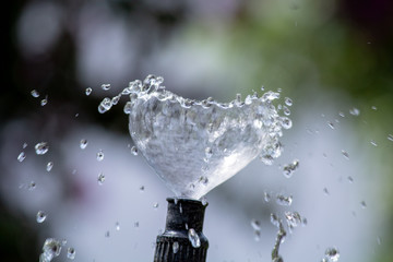 La fuente de la vida.