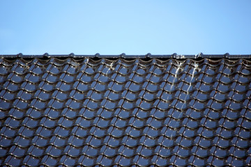 Decorative shingles on the roof
