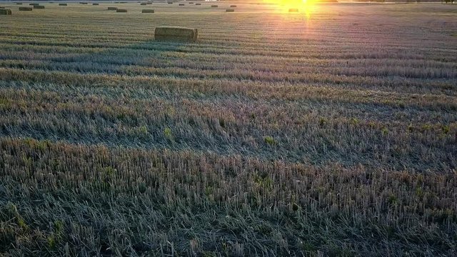 Aerial of Square Straw Bales on Fields at Sunset