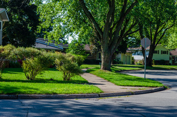 Corner of a curving suburban tree lined shady street