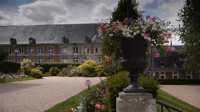 Flowers waving in the wind in Lisieux