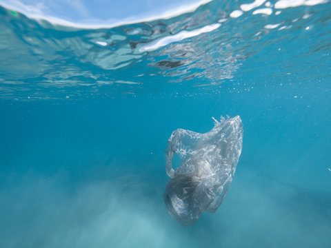 Single Use Plastic Bag In Ocean