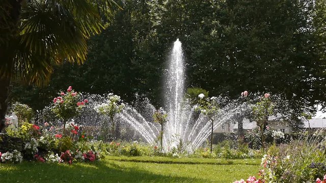 Jardin de L'Eveche, fountain and palm tree in Lisieux