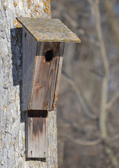 Old birdhouse mounted on a tree
