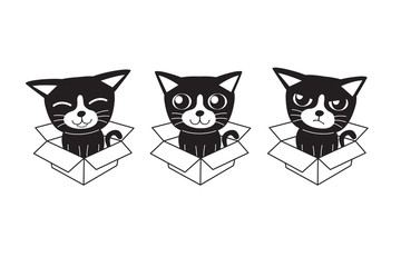 Vector cartoon set of cat in cardboard box for design.