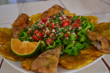 salad with fried fish