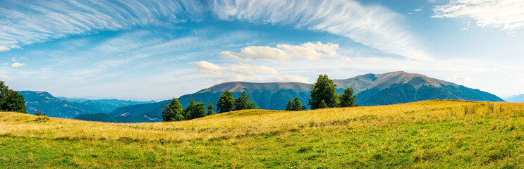 great panorama of mountainous landscape. gorgeous cloudscape above wide grassy meadow. mountain ridge with alpine meadows in the distance. wonderful sunny day and good weather for outdoor activities