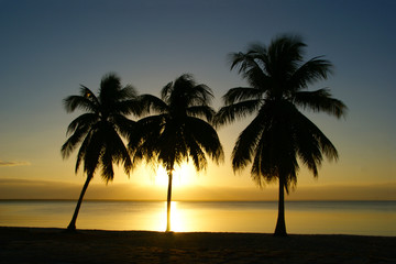 Fototapeta na wymiar Playa Larga Cuba. Bay of Pigs. Caribbean sunset