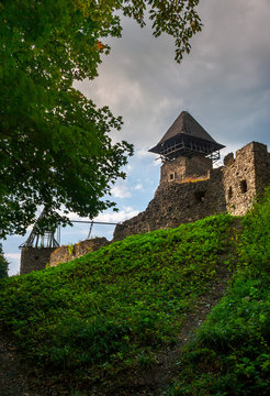 ruins of Nevytsky Castle on grassy hill. medieval fortress is popular tourist destination of TransCarpathia, Ukraine