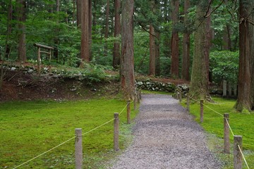 Fototapeta premium 苔が美しい日本の神社の境内