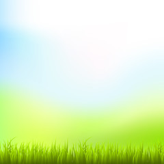 Plakat detailed fresh green vector grass. Natural background The grass is in front.Gradient mesh tool.