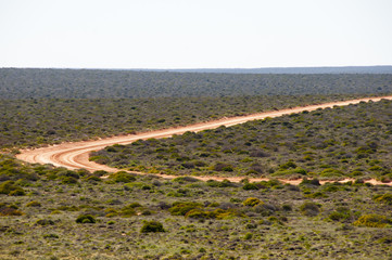 Off Road Track in the Outback