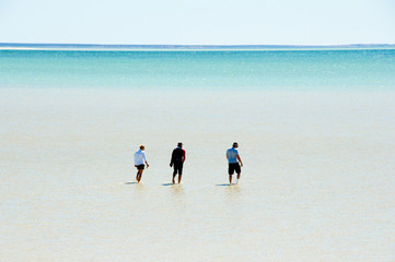 Shell Beach - Shark Bay - Western Australia