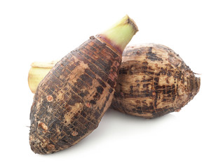 Taro on white background