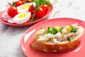 Fototapeta na wymiar Slice of baguette with fish paste, egg, tomato and radish