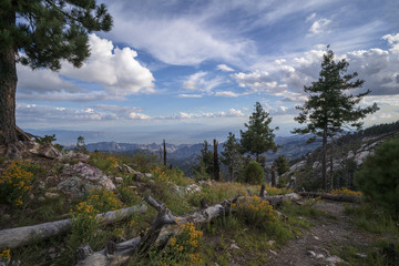 A view across the Tucson valley from the summit of Mt. Lemmon, Arizona.