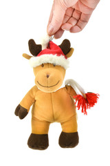 Female hand holding a Christmas reindeer in a red cap on isolated background