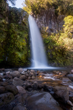 Dawson Falls at Mount Egmont New Zealand 3