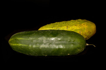 cucumber isolated on black background