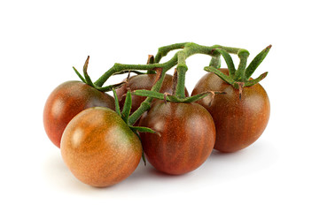 Brown cherry ripe tomatoes isolated