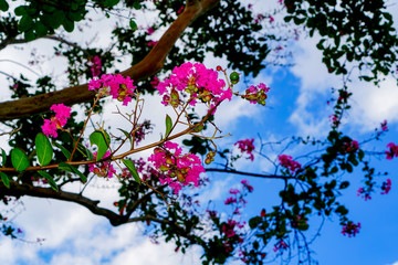 クローズアップ