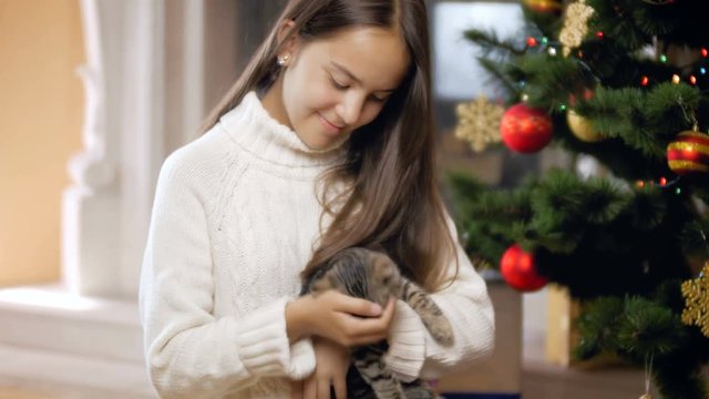4k video of cute kitten and teenage girl playing under Christmas tree at house