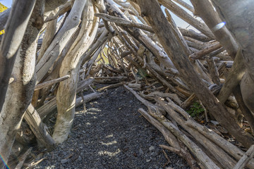 Driftwood structure on Pencarrow Coast, Wellington, New Zealand