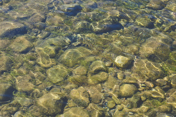 The dirty moss and mud covered rocks under the green river water. 