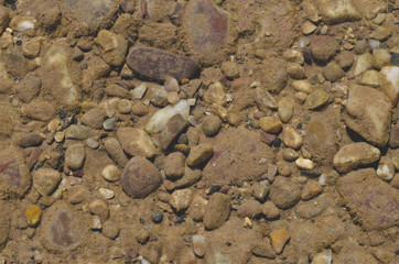Looking down in the water of the dirty green river floor under the water. 