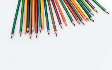 Set of colorful pencils on white background. Autumn color palette Back to school concept. Copy space for text