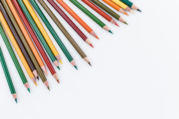 Set of colorful pencils on white background. Autumn color palette Back to school concept. Copy space for text