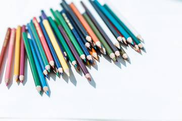 Set of colorful pencils on white background. Back to school concept. Copy space for text