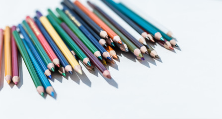 Set of colorful pencils on white background. Back to school concept. Copy space for text