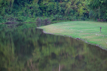 
The reflection of water is very clear in the middle of the forest.