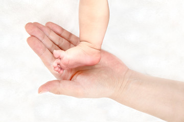 Obraz na płótnie Canvas 赤ちゃんの小さな片足を包むお母さんの大きな両手のアップ。成長と健康を喜ぶ母。母性、愛情、幸せ、育児、健康のイメージ