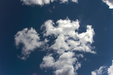 Obraz premium cloud in the blue sky