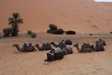 desierto marruecos