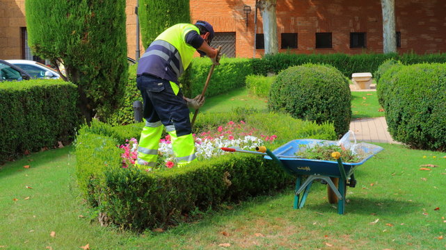 Jardinero con uniforme trabajando cuidando las flores y las plantas verdes de un precioso jard&iacute;n. Fotos o im&aacute;genes de gente en sus trabajos