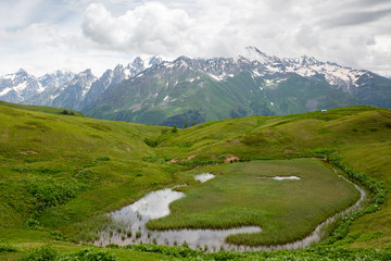 Fototapeta na wymiar Alpine overgrown lake on background of snow capped mountain top