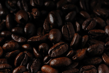 コーヒー豆　珈琲豆