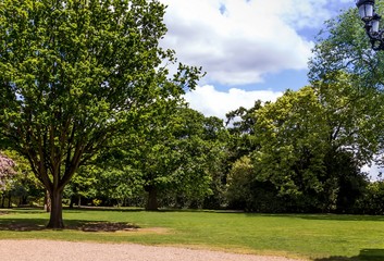 Beautiful blue summer sky with white clouds over green trees