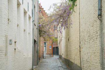 Beautiful street view of the Brugge city
