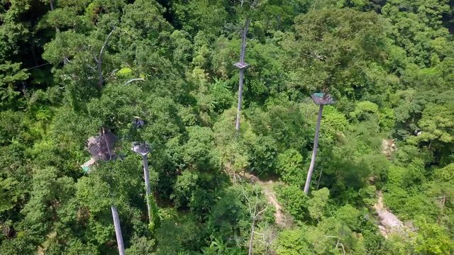 Aerial View of Tourists Riding on Zipline or Canopy Rope. Adrenaline Adventure on Vacation