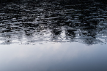 reflection of trees in ice and water
