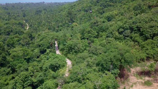Aerial View of Tourists Riding on Zipline or Canopy Rope. Adrenaline Adventure on Vacation