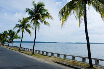Fototapeta na wymiar tropical beach with palm trees in Cienfuegos, CUBA