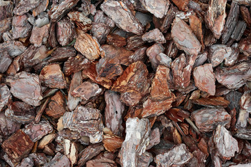 pieces of wood bark for background or texture